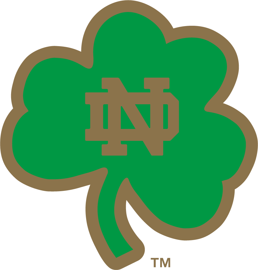 Notre Dame Fighting Irish 2006-2015 Secondary Logo t shirts iron on transfers